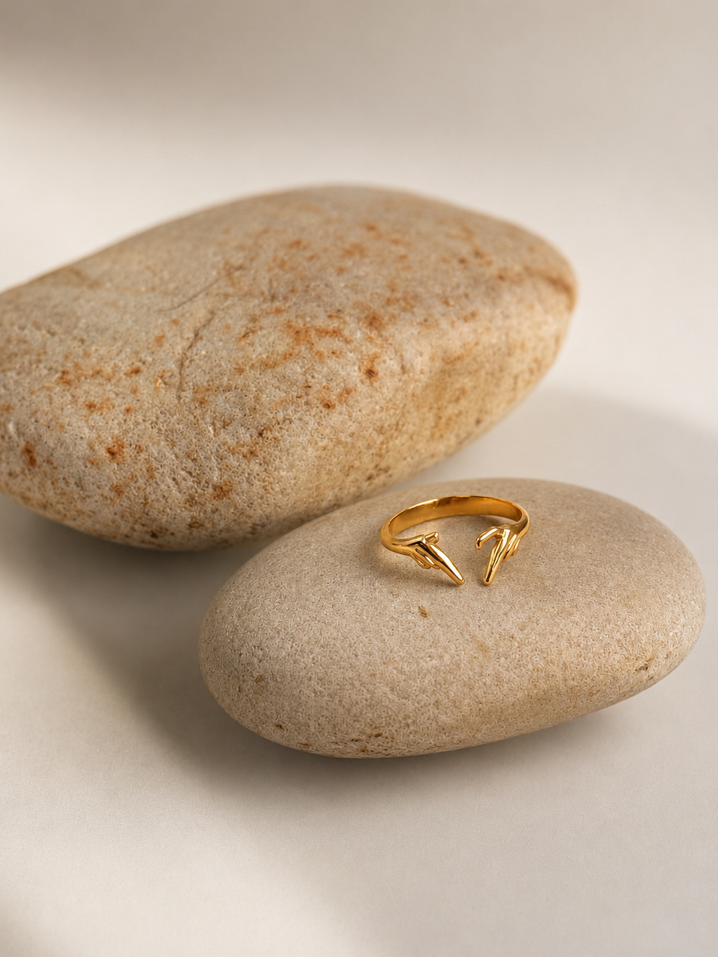 Anillo Conexión