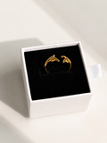 Anillo Conexión